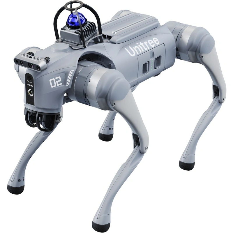 Интеллектуальные интерактивные роботы