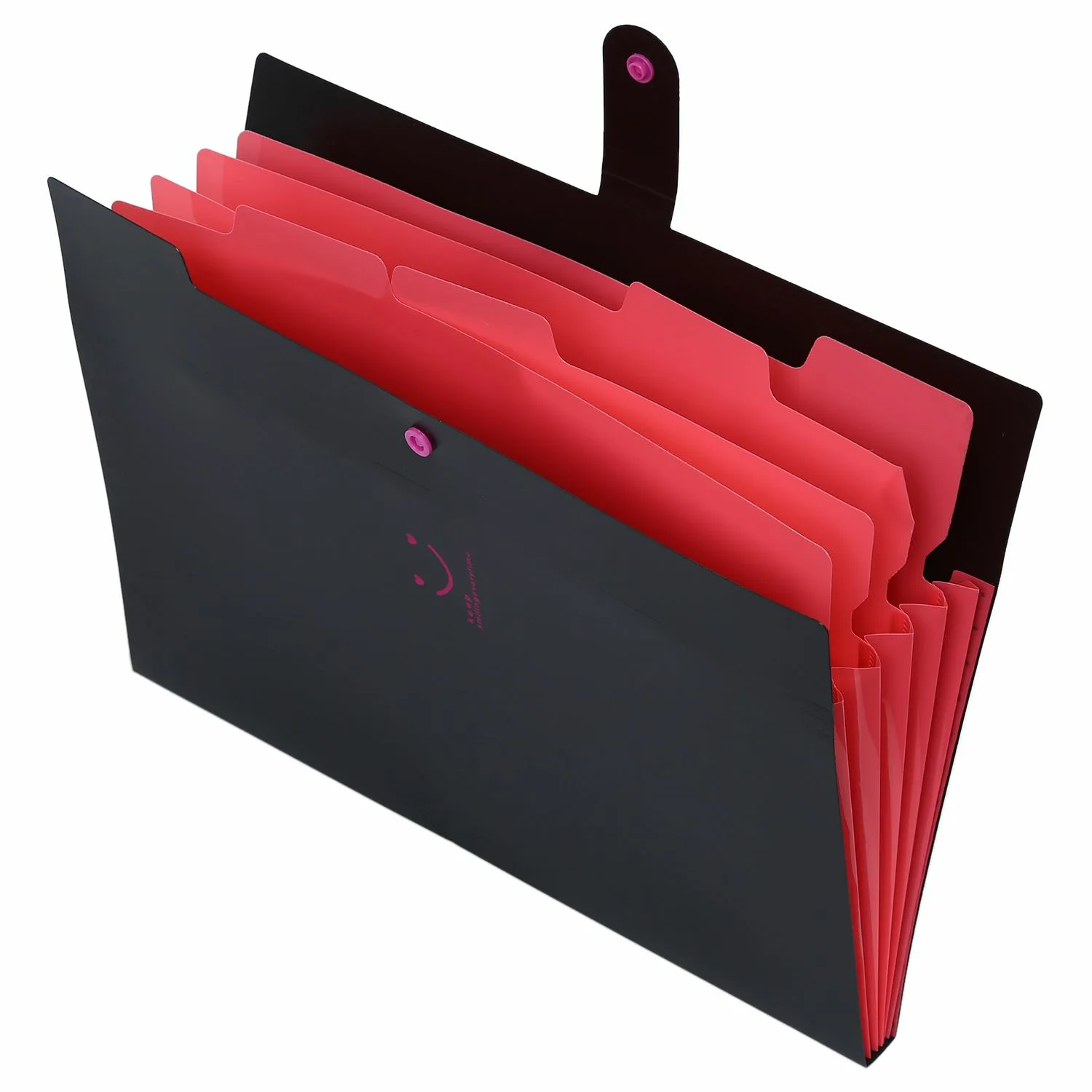 Папки-органайзеры пластиковые с отделениями