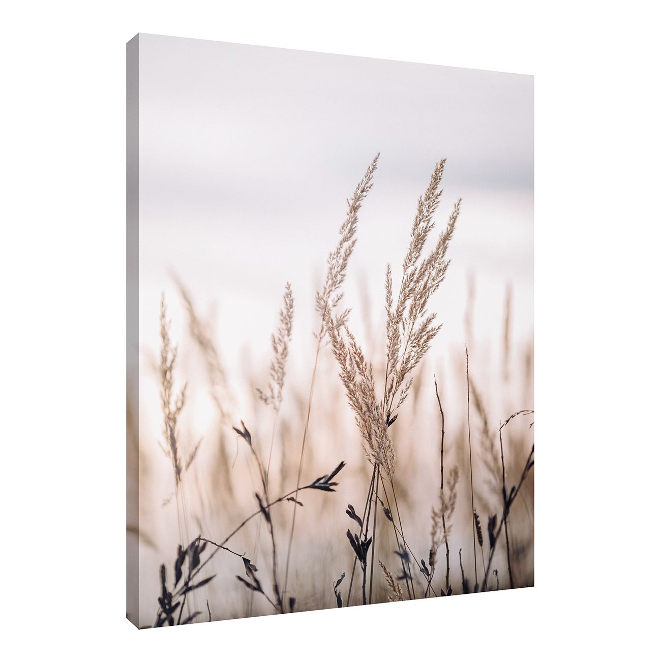 Картины и фоторамки