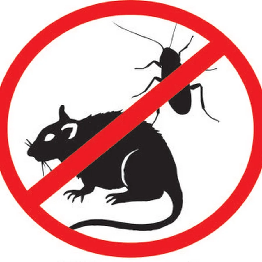 Средства от насекомых и грызунов