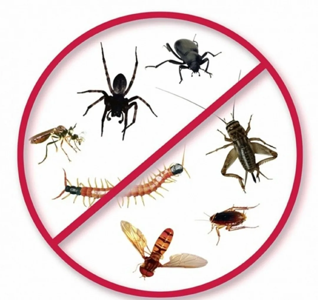 Защита от вредителей