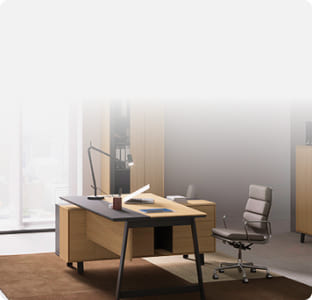 Кабинет Avizo