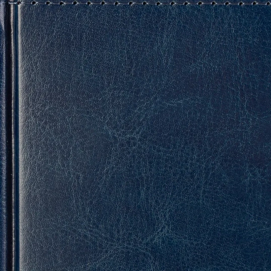 Ежедневник датированный 2026 А5+ SIDNEY NEBRASKA синий, зол обрез 3-125/04