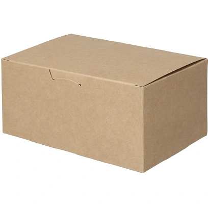 Упаковка ECO Fast Food Box L (500 шт/уп)