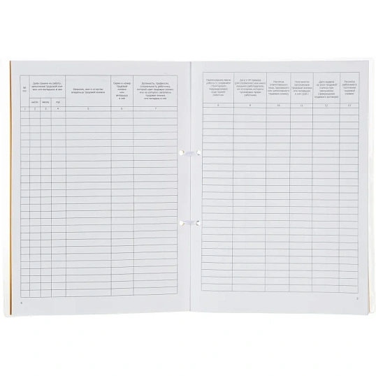 Книга учета движения трудовых книжек и вкладышей А4 32л карт.в облож, офсет