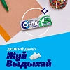Жевательная резинка Orbit White Нежная мята без сахара,13,6гх30шт/уп