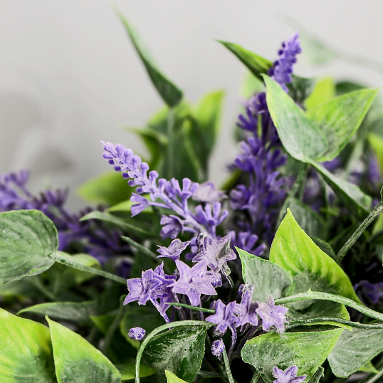 Растение бонсай в горшке Лиана и мелкие цветочки 11х16 см, микс 4642631