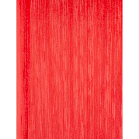 Ежедневник недатированный Attache Rain, А5, 160 л, красный