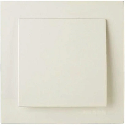 Выключатель одноклавишный скрытой установки  VS 16-131-Б, 6А, IP20