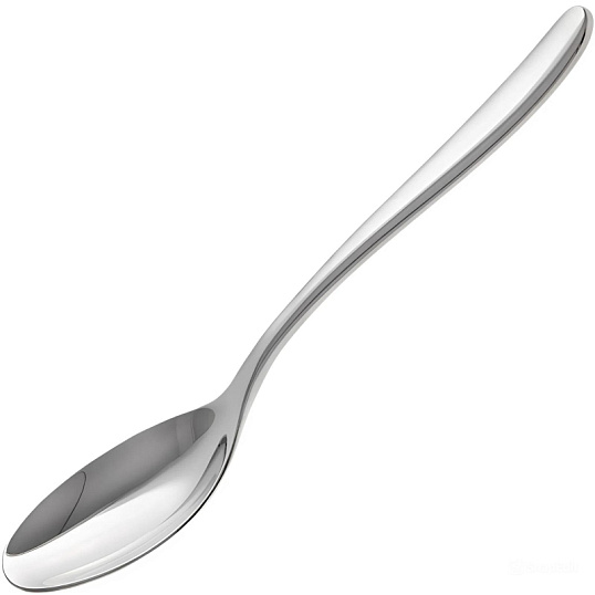 Ложка столовая Home Queen Ямабуки 2шт/уп, 20,5 см /48/12