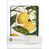 Картхолдер на молнии  flora.paradise.lemons, 11.5 x 0,7 x 7,5 см 14-096/06