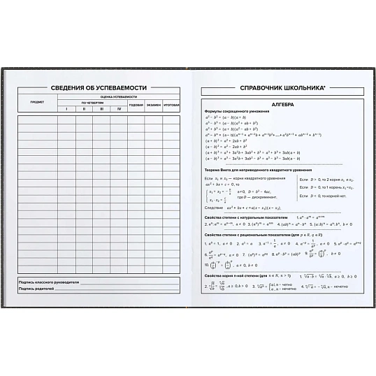 Дневник школьника КОМИКС интегральный переплёт, А5+, 48 л. 66823