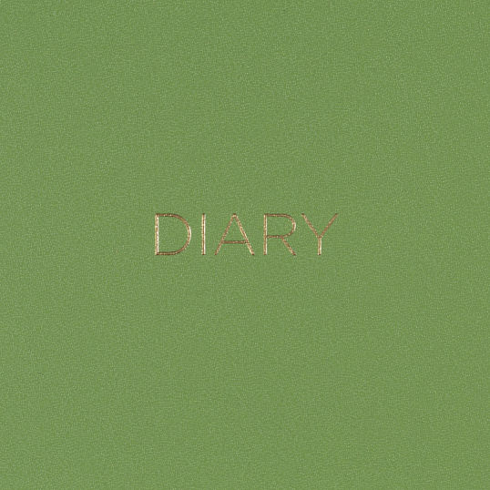 Ежедневник недатированный зеленый, А5 136 л., Dairy, ATTACHE