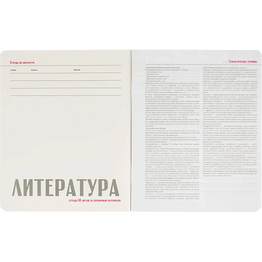 Тетрадь предметная 10 шт/набор, СЕРИЯ MONOCOLOR, 7-48-1401/26