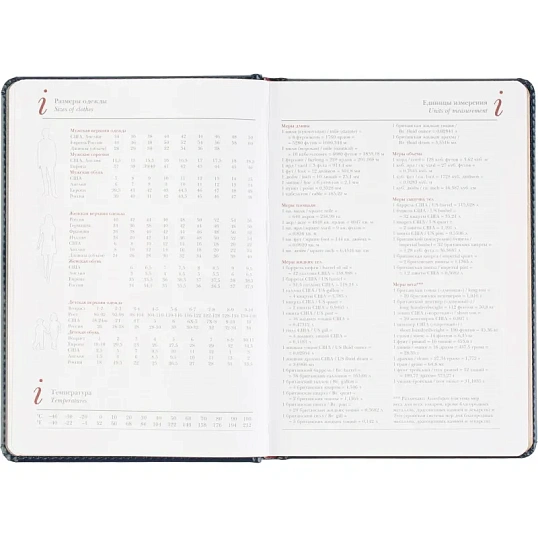 Ежедневник датированный 2026 А5+ SIDNEY NEBRASKA синий, зол обрез 3-125/04