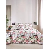 Постельное белье Евро Бязь (нав.50х70-2шт),Korskovall