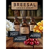 Набор аромадиффузоров Aroma Craft (Пион,Вишня,Манго)28мл,BR0103-0023-0010,W