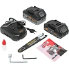 Набор аккум. Инстр. Procraft Professional (CP20+CCS20)Кейс,PS210SET