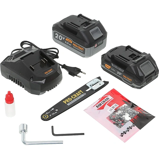 Набор аккум. Инстр. Procraft Professional (CP20+CCS20)Кейс,PS210SET