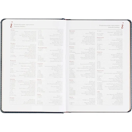 Ежедневник датированный 2026 А5+ SIDNEY NEBRASKA синий, зол обрез 3-125/04