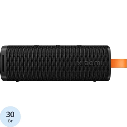 Акустическая система Xiaomi Sound Outdoor S29D 30W Black (QBH4261GL)