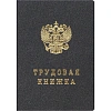 Бланк Трудовая книжка