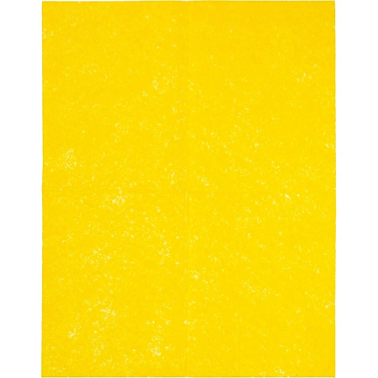 Салфетки хозяйственные вискозные Paclan Soft Universal 30х40см 10шт/уп