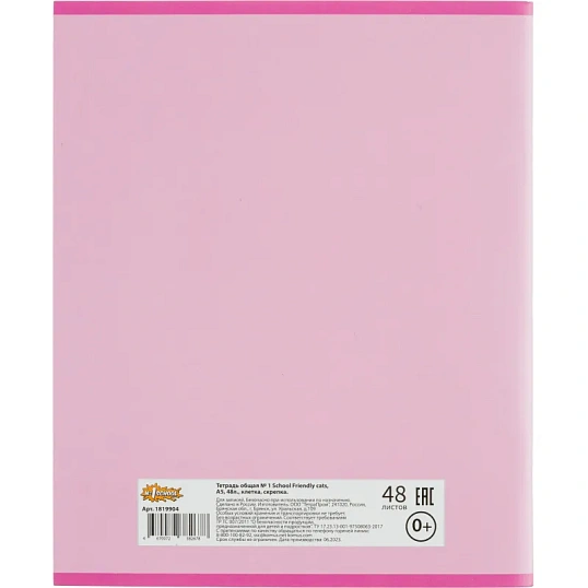 Тетрадь общая А5 48л №1School Friendly cats,клет,скреп, ВД-лак