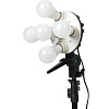 Комплект студийного оборудования Falcon Eyes KeyLight 518LED SB5070 KIT