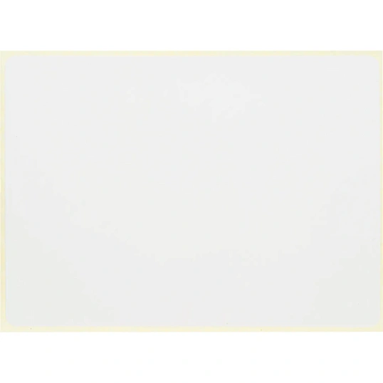 Термотрансферные этикетки ПГЛ 100x72 1000 шт/рул, вт.76, 12 рул/уп