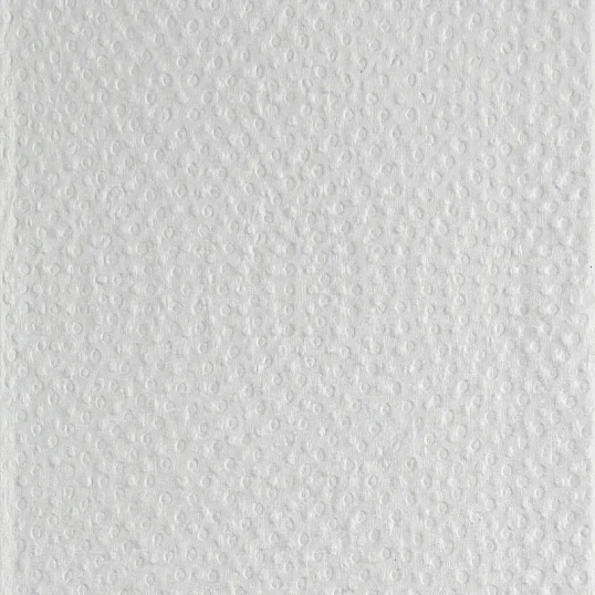 Полотенца бумажные д/дисп. Luscan Professional Zслож2слбелцел200л