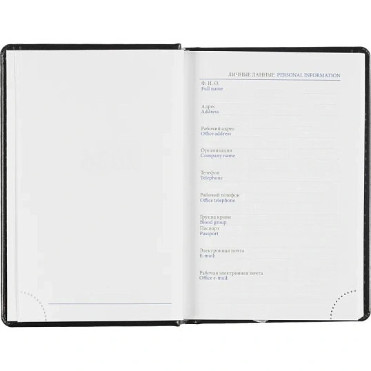 Ежедневник датированный 2026, черный,А6, 100х150 мм,336 стр,Agenda