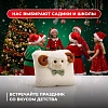 Новогодний сладкий подарок Подушка соня Подушка 1000 грамм, K235