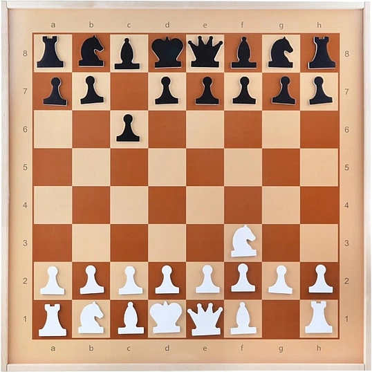 Настольная игра Шахматы демонстрационные магнитные (мини),04360