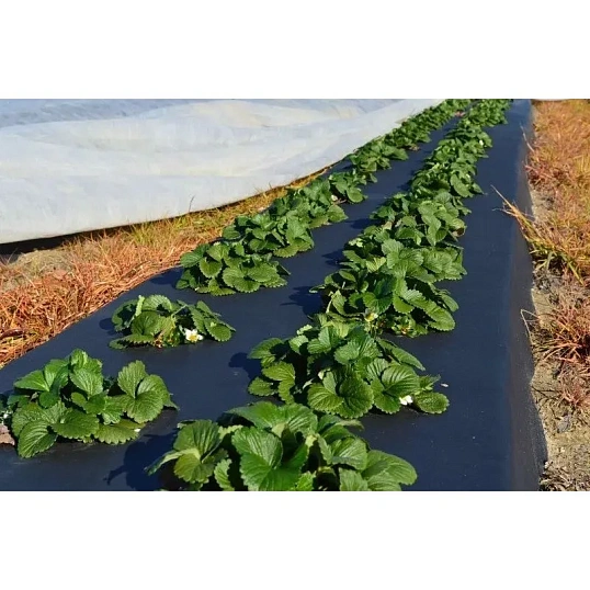 Пленка укрывная рукав ПВД 35мкм, 1,8х50м черная, 2сорт,толщ. рукава 70 мкм