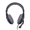 Гарнитура RITMIX RH-534M Gray Компьютерная 3,5 мм TRS (15119392)