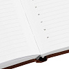 Ежедневник недатированный коричн, А5, 148x218, 352стр, Agenda