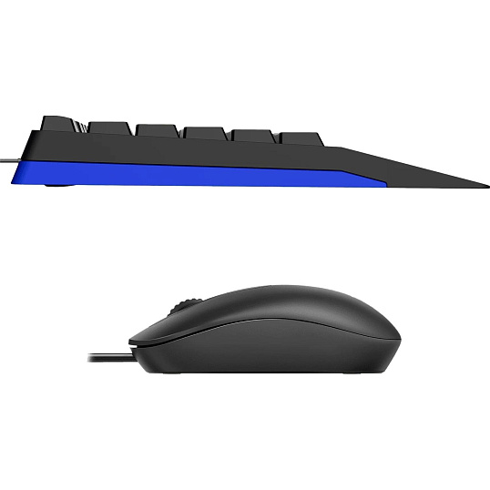 Набор клавиатура+мышь RAPOO проводная NX2000, цвет - черный