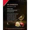 Кофе в капсулах L'OR Espresso Splendente,10шт/уп
