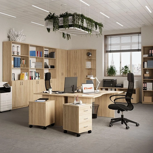 Стеллаж Easy One LT 22/16 768х370 дуб сонома В1997