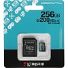 Карта памяти microSDXC Kingston 256G Go Plus G4 200R V30 адапт. SDCG4/256GB