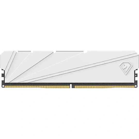 Модуль памяти Netac Shadow S 16GB DIMM DDR4 3200Мгц (NTSSD4P32SP-16W)