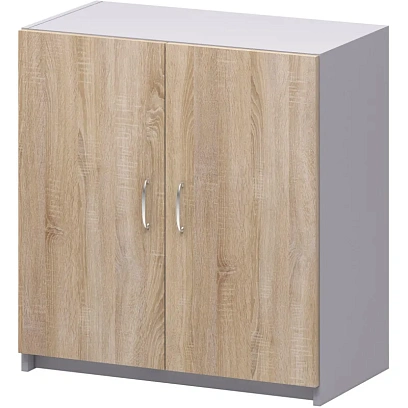 Шкаф SP Бюджет   низкий 2550 (877,879) дуб сонома