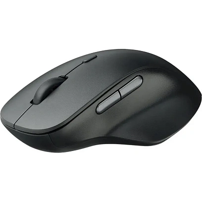 Мышь компьютерная RAPOO (M50PLUS-BL) беспроводная черная