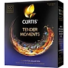 Чай Curtis Tender Moments черн со вкус черники, ежев. и мяты,1,5гх100сашет