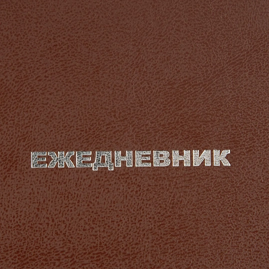 Ежедневник недатированный Attache Economy,бумвинил,коричн,А6,105х140мм,128л