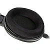 Наушники Sennheiser HD 650, профессиональные, динамические (508825)