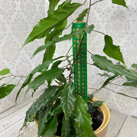 Опора наборная д/раст h38см, d3,5 мм,2шт/уп, лента-липучка L1м,зелен,266545