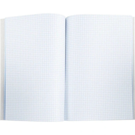 Книга учета 96л. в клетку обл.картон