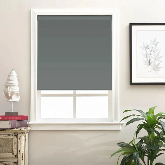 Рулонная штора Комус Мебель Sky W2237 V19, 50х160 графит